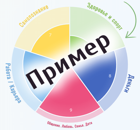 wheel_lifemap
