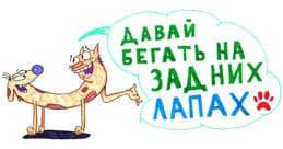 Как найти себя в жизни за 1 месяц?