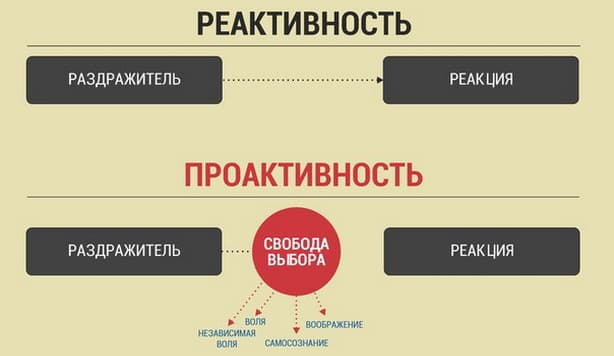 Что значит проактивность? Как развивать проактивность?